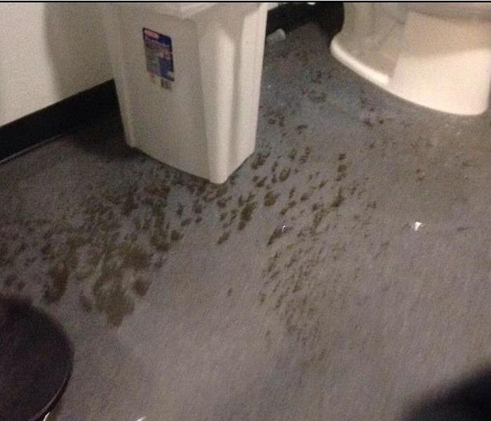 Bathroom with solid waste on the floor